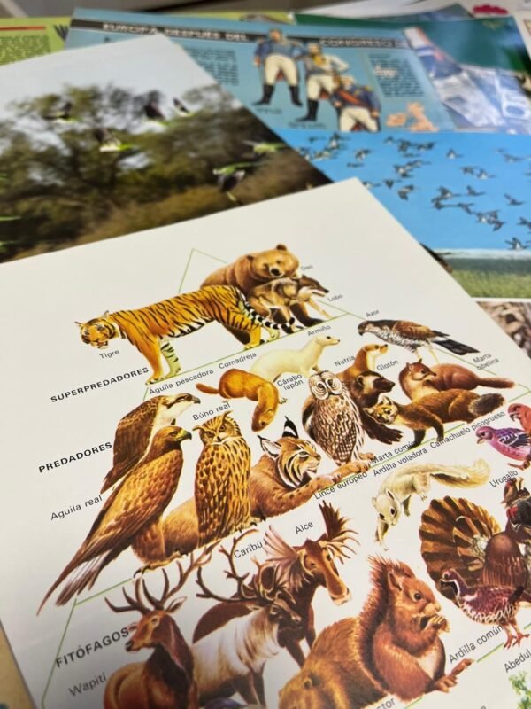 kit de material - Imagen 3